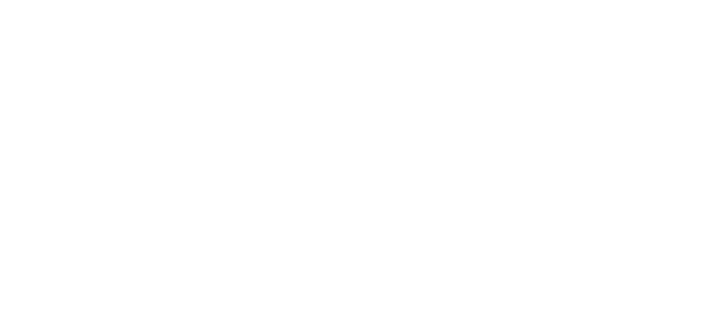 Safran - Logo White